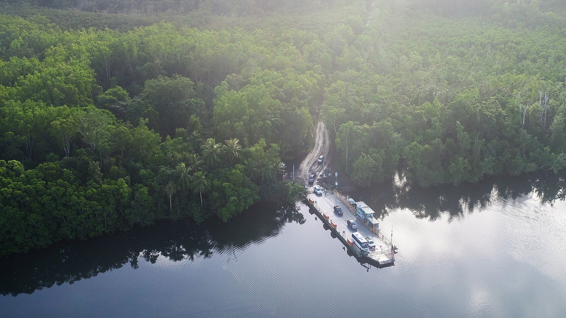 Daintree River Ferry Crossing