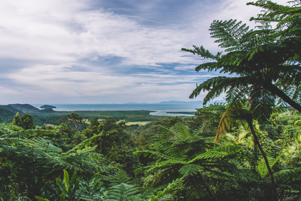 Daintree Rainforest, Mt Alexandra Lookout. Image by Tourism Tropical North Queensland.