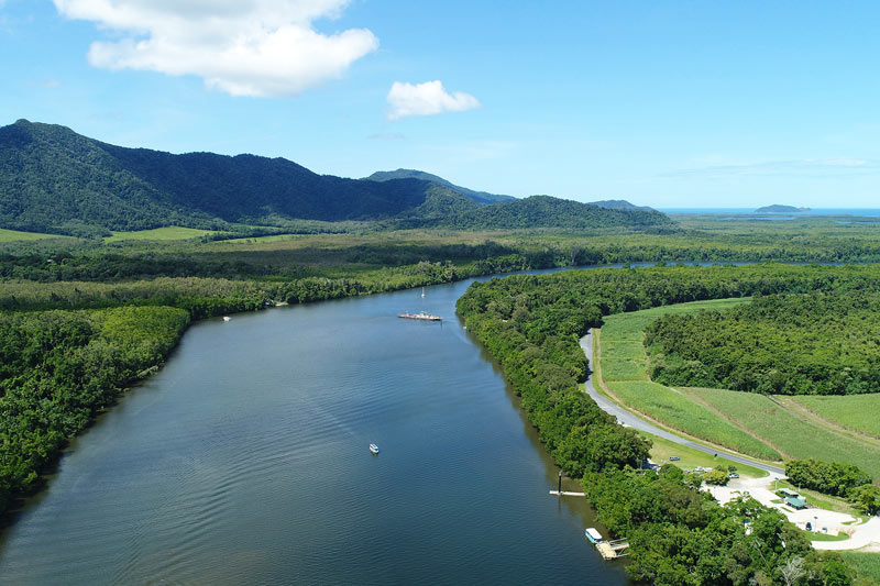 Daintree Region