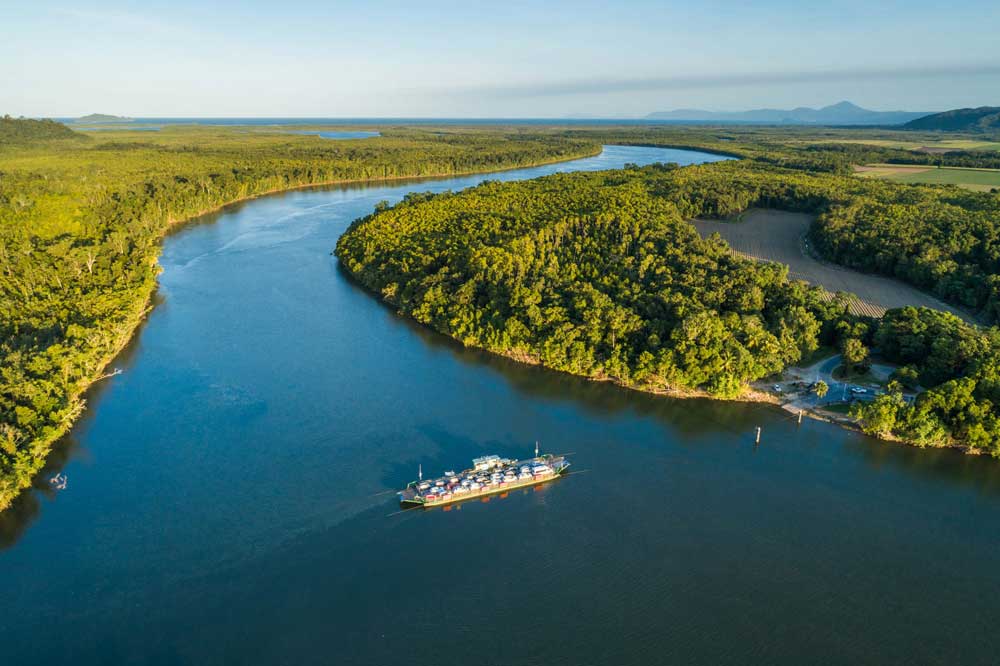 The Daintree Ferry Birdon